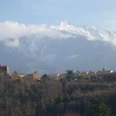 Chez Vivi Bed & Breakfast Ria Dış mekan fotoğraf